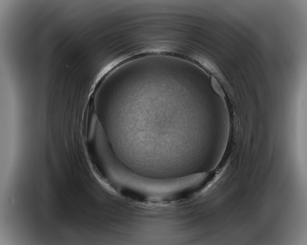 X0000086770842200704201803