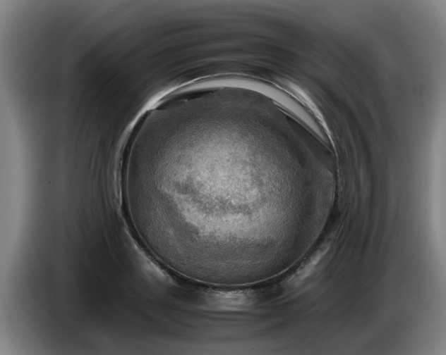 X0000086770843200704201803