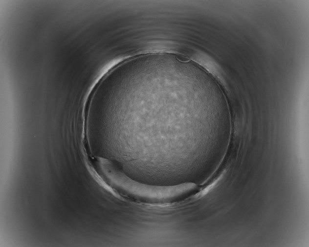 X0000086770844200704201803