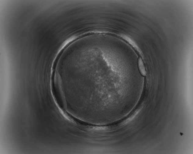 X0000086770845200704201803