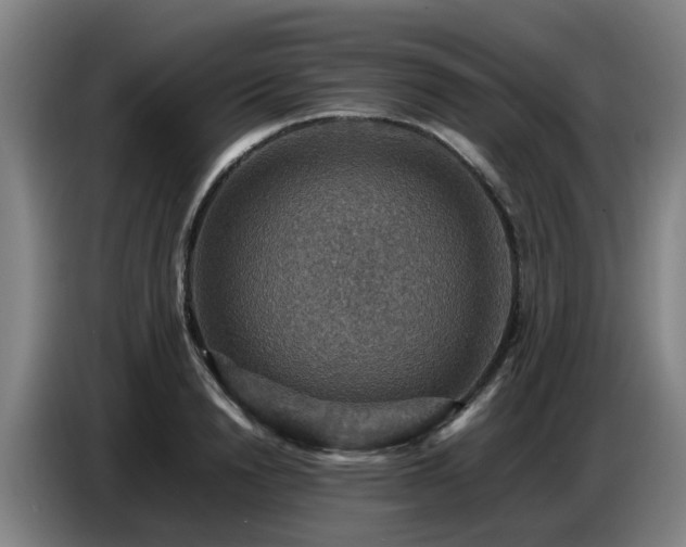 X0000086770846200704201803