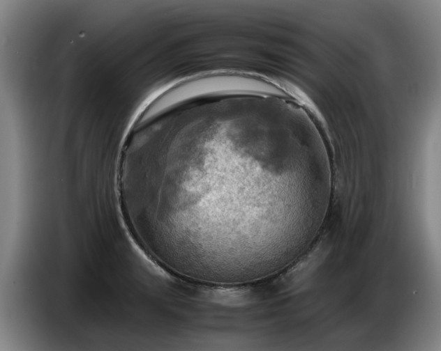 X0000086770847200704201803