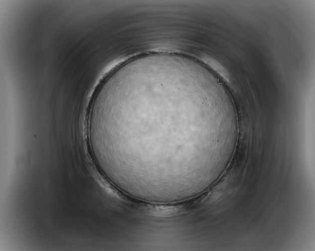 X0000086770848200704201803
