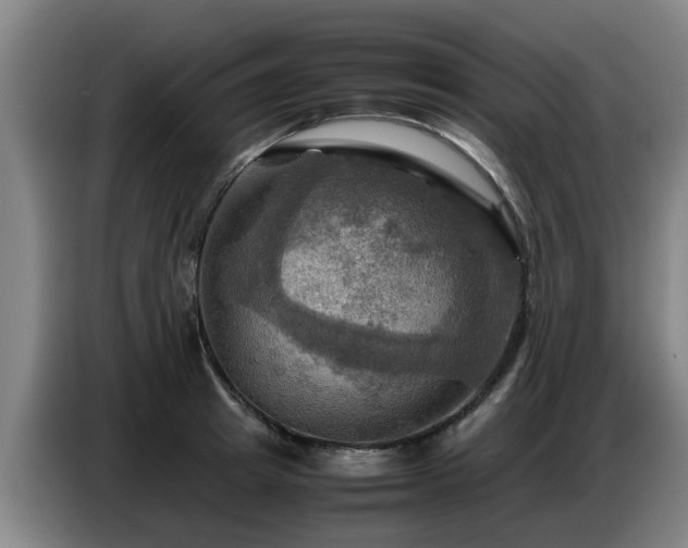 X0000086770849200704201803