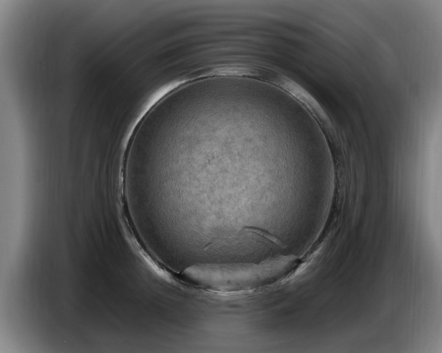 X0000086770852200704201803