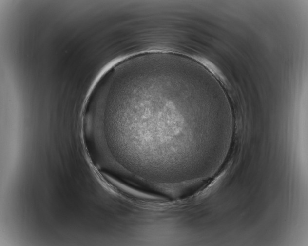 X0000086770854200704201803