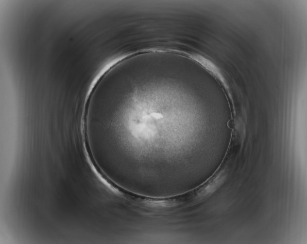 X0000086770855200704201803