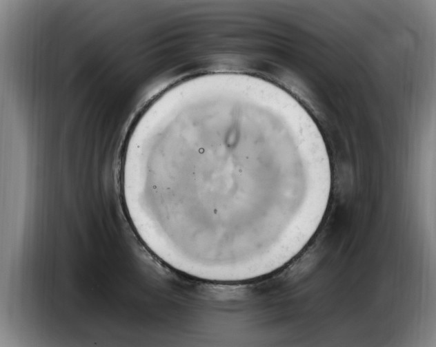 X0000086770856200704201803