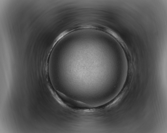 X0000086770858200704201803