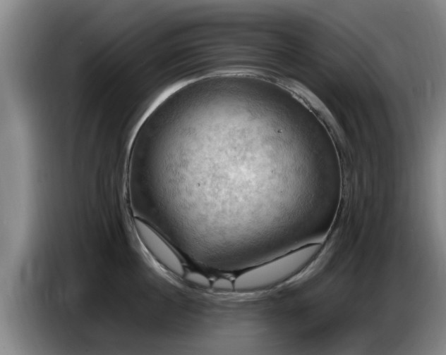 X0000086770860200704201803