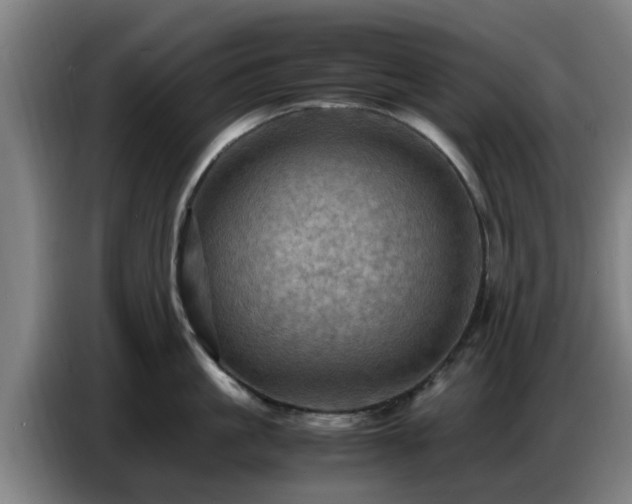 X0000086770861200704201803