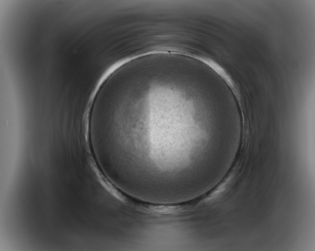 X0000086770862200704201803