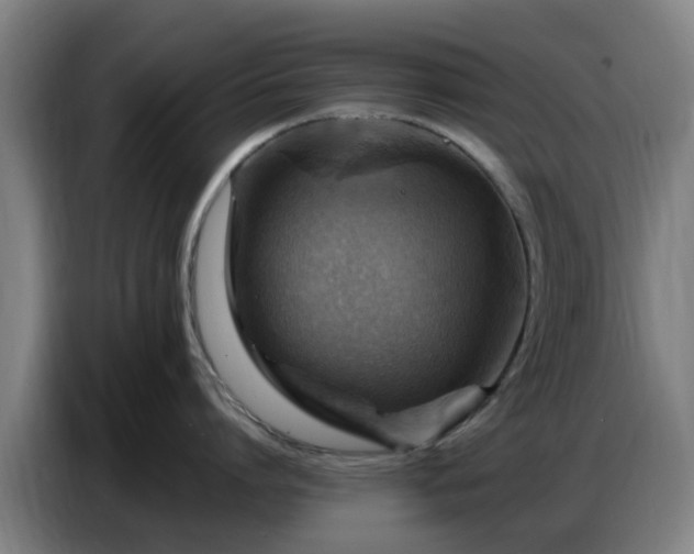 X0000086770864200704201803