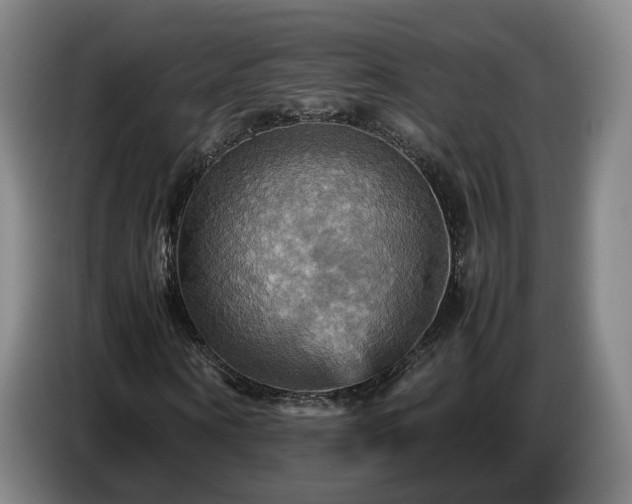 X0000086770866200704201803