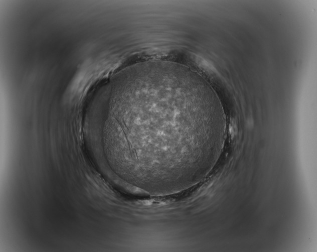X0000086770867200704201803