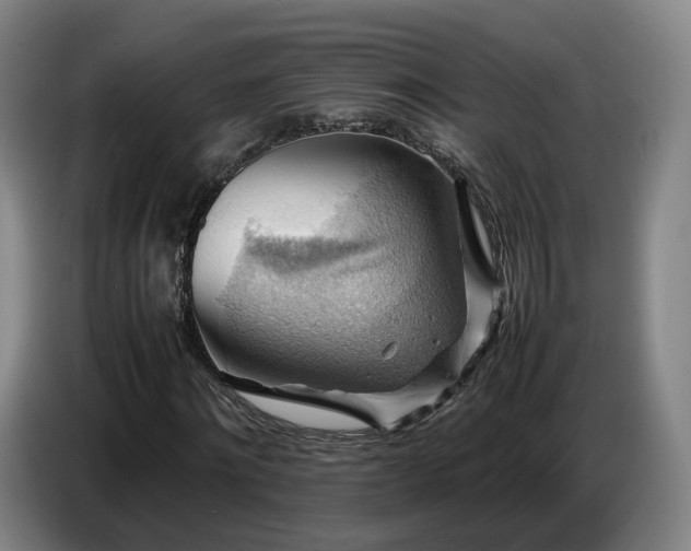 X0000086770868200704201803