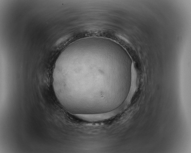 X0000086770869200704201802