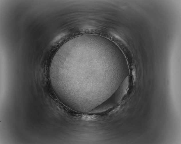 X0000086770870200704201802