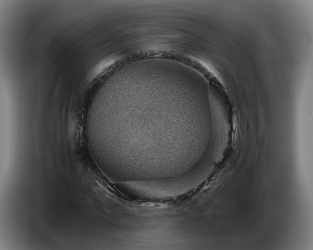 X0000086770872200704201802