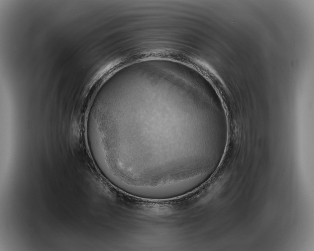 X0000086770874200704201802