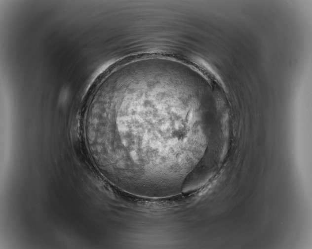 X0000086770875200704201802