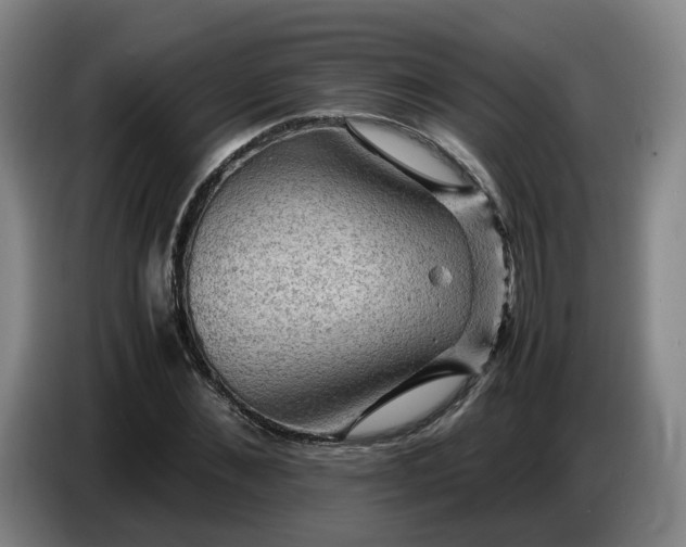 X0000086770876200704201802
