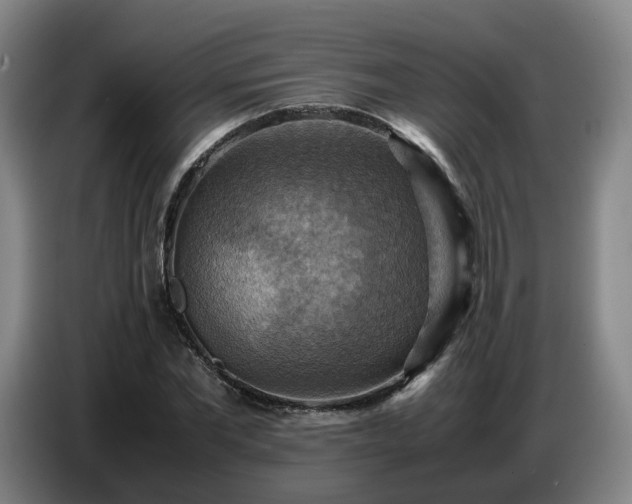 X0000086770877200704201802