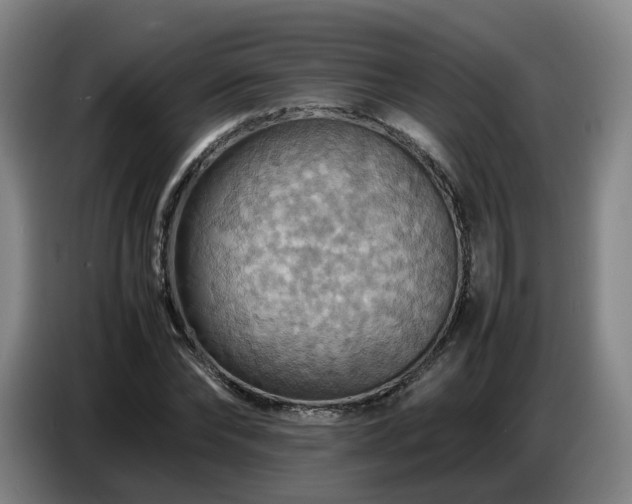 X0000086770878200704201802