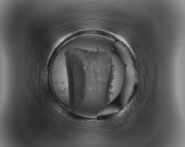 X0000086770879200704201802