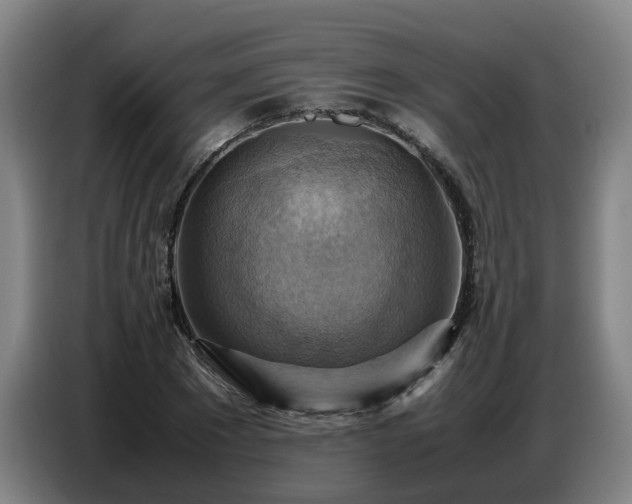 X0000086770881200704201802