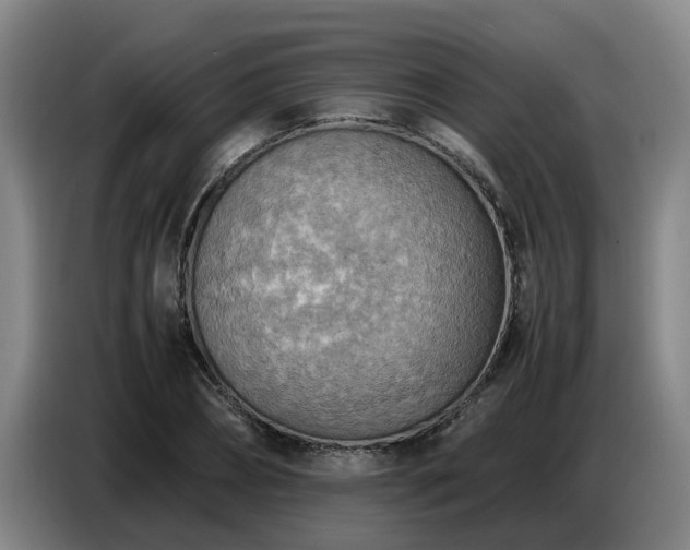 X0000086770882200704201802