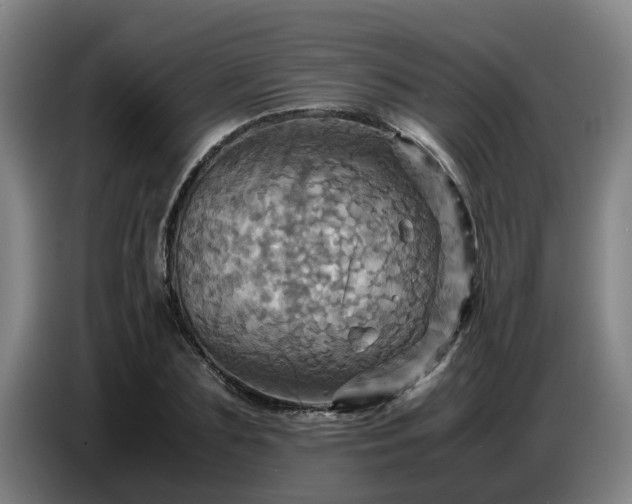 X0000086770883200704201802