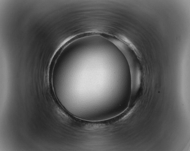 X0000086770884200704201802