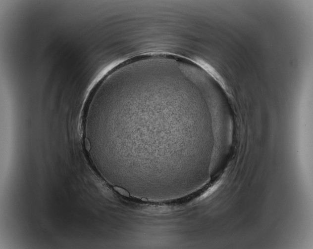 X0000086770885200704201802