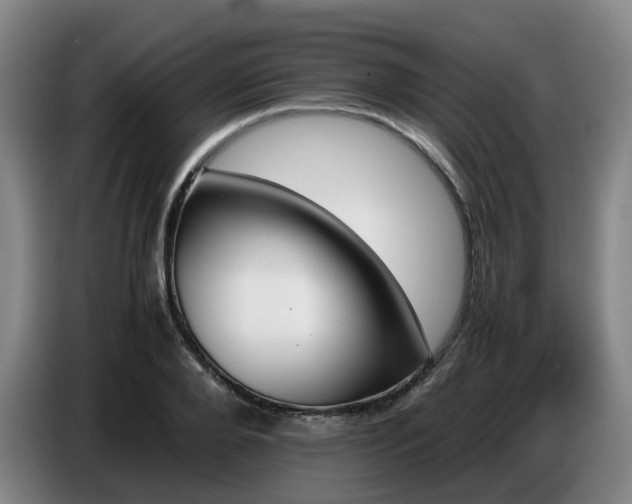 X0000086770888200704201802