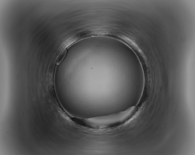 X0000086770889200704201802