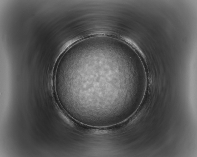 X0000086770890200704201802