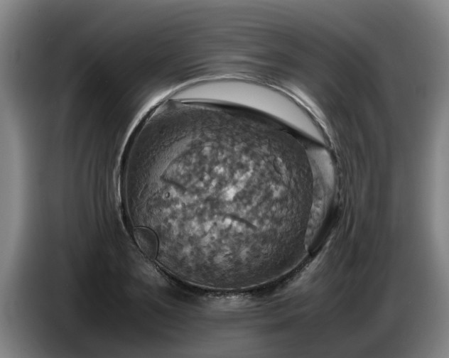 X0000086770891200704201802