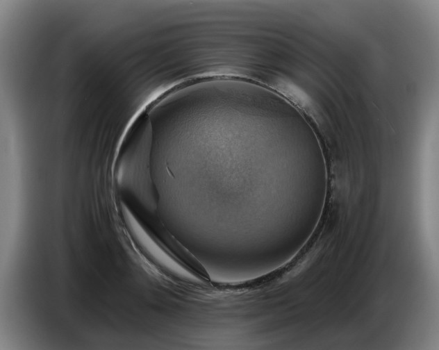 X0000086770892200704201802