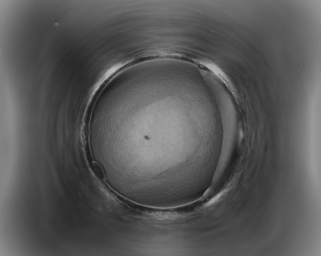 X0000086770893200704201802