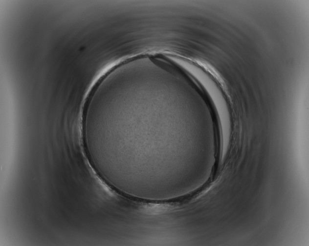 X0000086770894200704201802