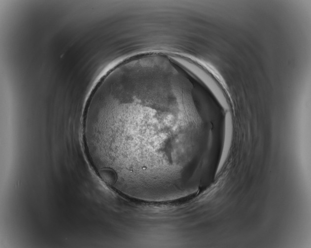 X0000086770895200704201802