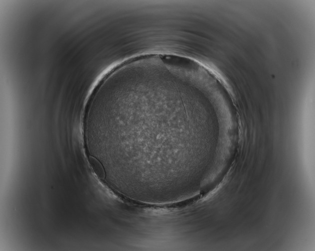 X0000086770896200704201802