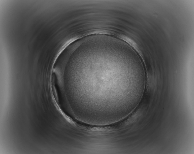 X0000086770898200704201802