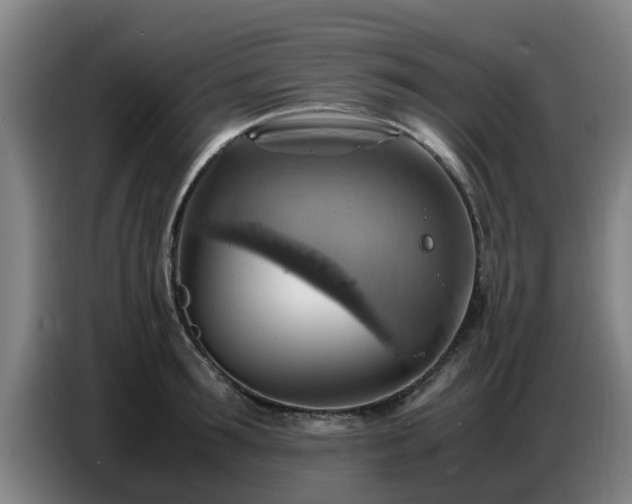 X0000086770899200704201802