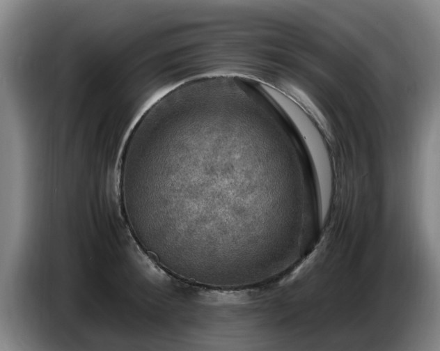X0000086770900200704201802