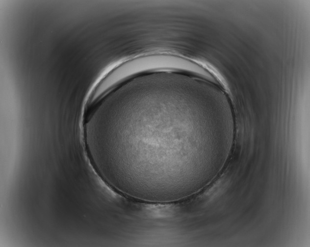 X0000086770902200704201802