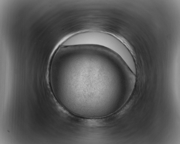 X0000086770904200704201802