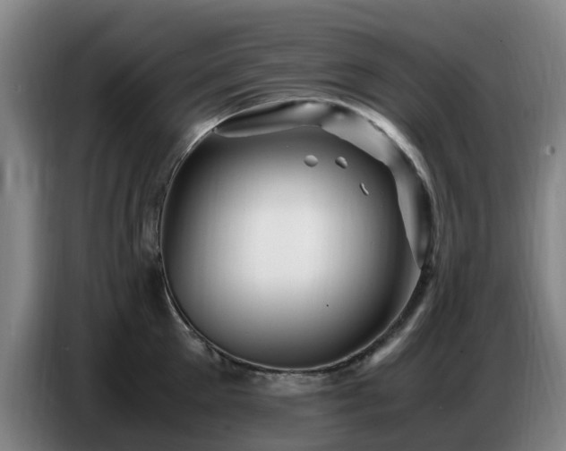X0000086770905200704201802