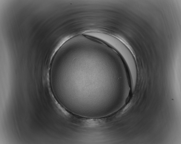 X0000086770906200704201802